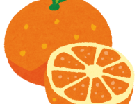 fruit_orange2