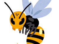 bug_hachi_doku
